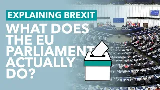 What Does the EU Parliament Actually Do? - Brexit Explained