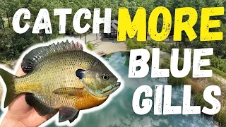 Catch MORE Bluegill From The Bank! | EASIEST METHOD!