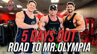 Road to Mr.Olympia | 5 Days Out | Lezione Posing | Workout Spalle