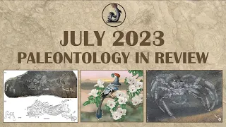 July 2023 Paleontology in Review