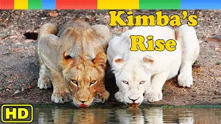 Lion Documentary -  Kimba's Rise of Lion Pride - Nat Geo Wild Documentary HD