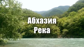 Абхазия. Горная река, горы, леса. Самые красивые места в Абхазии.  #Shorts