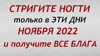 Лунный календарь стрижки ногтей на НОЯБРЬ 2022. Благоприятные и неблагоприятные дни.