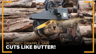 Rotobec Grapple Saw: The Ultimate Logging Tool