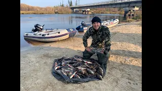 Море рыбы. Окунь. Спиннинг. 3 дня в лесу.