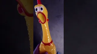 Rubber chicken