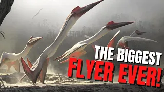 Quetzalcoatlus - The Biggest Flying Animal In History!