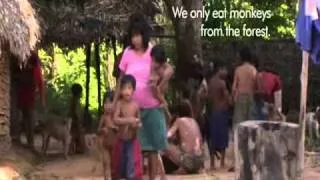Tribu Awá Guajá, Amazonia oriental, Brasil. Human Planet.