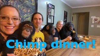 Chimp Dinner LIVE