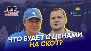 Что сдерживает мясную отрасль Казахстана? Цены, проблемы, регулирование | Орумбаев | Eldala