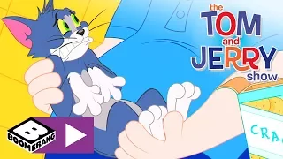 Tom i Jerry Show | Ptasie sztuczki | Cartoonito