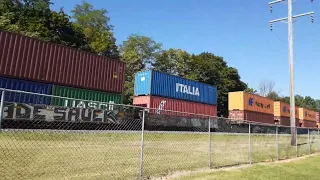 (ALMOST MISSED) NS 4295 leads an intermodal train in Robesonia, PA (20R)
