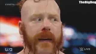 Wwe Raw Roman Reigns Vs Sheamus WWE World Heavyweight Championship