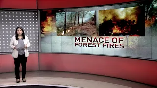 Discussion Today - Menace of forest fires