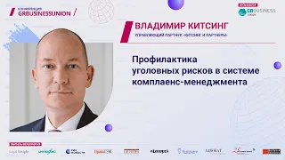 Владимир Китсинг - Профилактика уголовных рисков в системе комплаенс-менеджмента