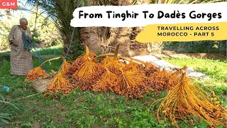 Travelling Across Morocco - Farming With Moroccan Locals - Most Beautiful Valley In Morocco - Day 5