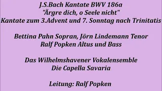Bach Kantate BWV 186a Ärgre dich, o Seele nicht, Ralf Popken