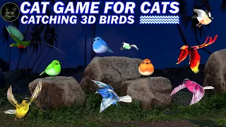 TV for Cats - Birds and Birds Tail Video for Cats to Enjoy!