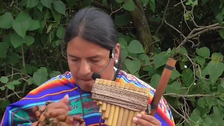 Let's dance ?! Promesas. Native American from Ecuador Inty Pakarina.