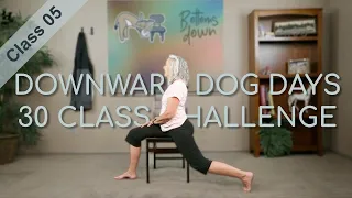 Chair Yoga - Dog Days Class 5 - 26 Minutes Seated