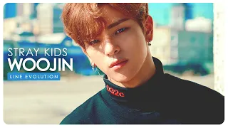 Stray Kids • Woojin | Line Evolution 「REQ #103.1」