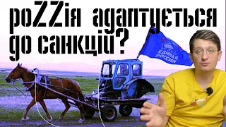 Як російські бізнесмени адаптуються до санкцій? Як працює російське "импортозамещение"? Новини рф