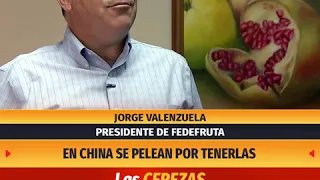 Las cerezas son el producto estrella en exportaciones | 24 Horas TVN Chile