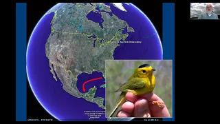 Hobart & William Smith Speaker Series: Birds in our Landscape - Tracking Spring Migration