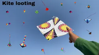 Kite Looting 🪁 | बच्चों को पतंग लुटा दी 🥳🔥 | kite looting ki video 🪁 | kite catching | patang