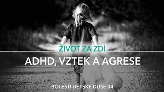 BOLESTI DĚTSKÉ DUŠE 4: ADHD, VZTEK A AGRESE