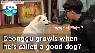 Deonggu growls when he's called a good dog? (Dogs are incredible) | KBS WORLD TV 210421