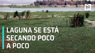 Laguna de Yuriria se está secado - Las Noticias