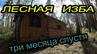 Лесная изба .Три месяса спустя .