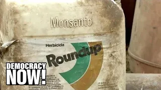 As EPA Insists Weed Killer Roundup is Safe, a Jury Orders Monsanto to Pay $2B to Couple With Cancer