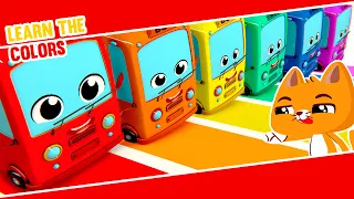 NEW! 🚌 Learn the colors with Catty and the magic Buses | Superzoo