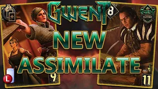 NEW ASSIMILATE CARDS | GWENT HERITAGE NILFGAARD DECK GUIDE