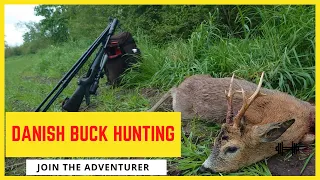 Roebuck Hunting in Denmark 2021 #roebuck #bockjagd bukkejagt