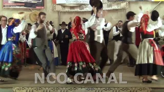 Grupo Recreativo e Cultural Danças e Cantares de Ponte de Lima