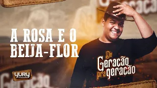 A ROSA E O BEIJA-FLOR (YURY PRESSÃO)
