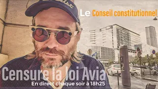 Le Conseil constitutionnel censure la loi Avia contre la haine en ligne #Actu