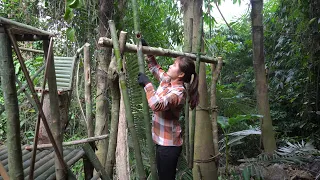 Bushcraft camp survival shelter, Alone life in the  forest - Make swings out of bamboo