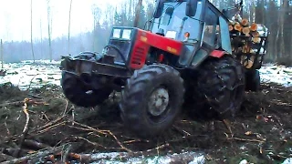 Belarus Mtz 1025 in wet forest, difficult conditions