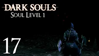Dark Souls 1 - Soul Level 1. DLC - Descending into the Abyss [Part 17]