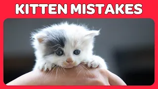 14 Common Kitten Mistakes You Must Avoid
