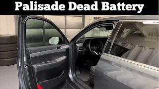 How To Open 2020 - 2022 Hyundai Palisade With Dead Battery - Open, Unlock & Jump Start Charge