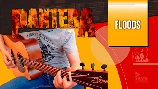 Pantera - Floods - Acoustic 🎸 Version