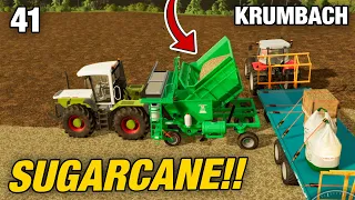 DOING SOMETHING WE WOULDN'T NORMALLY DO | Krumbach | Farming Simulator 22 - Episode 41