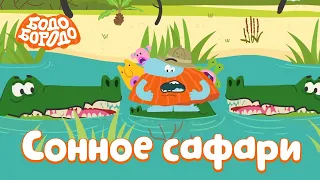 Сонное сафари - Бодо Бородо | ПРЕМЬЕРА | мультфильмы для детей 0+