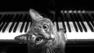 Frank Mills - Kitty On The Keys