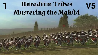 DaC V5 - Haradrim Tribes 1: Mustering the Mahûd